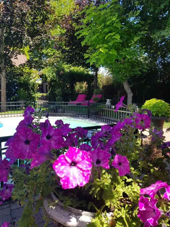 B&B Le Jardin NeerNeerpelt Εξωτερικό φωτογραφία