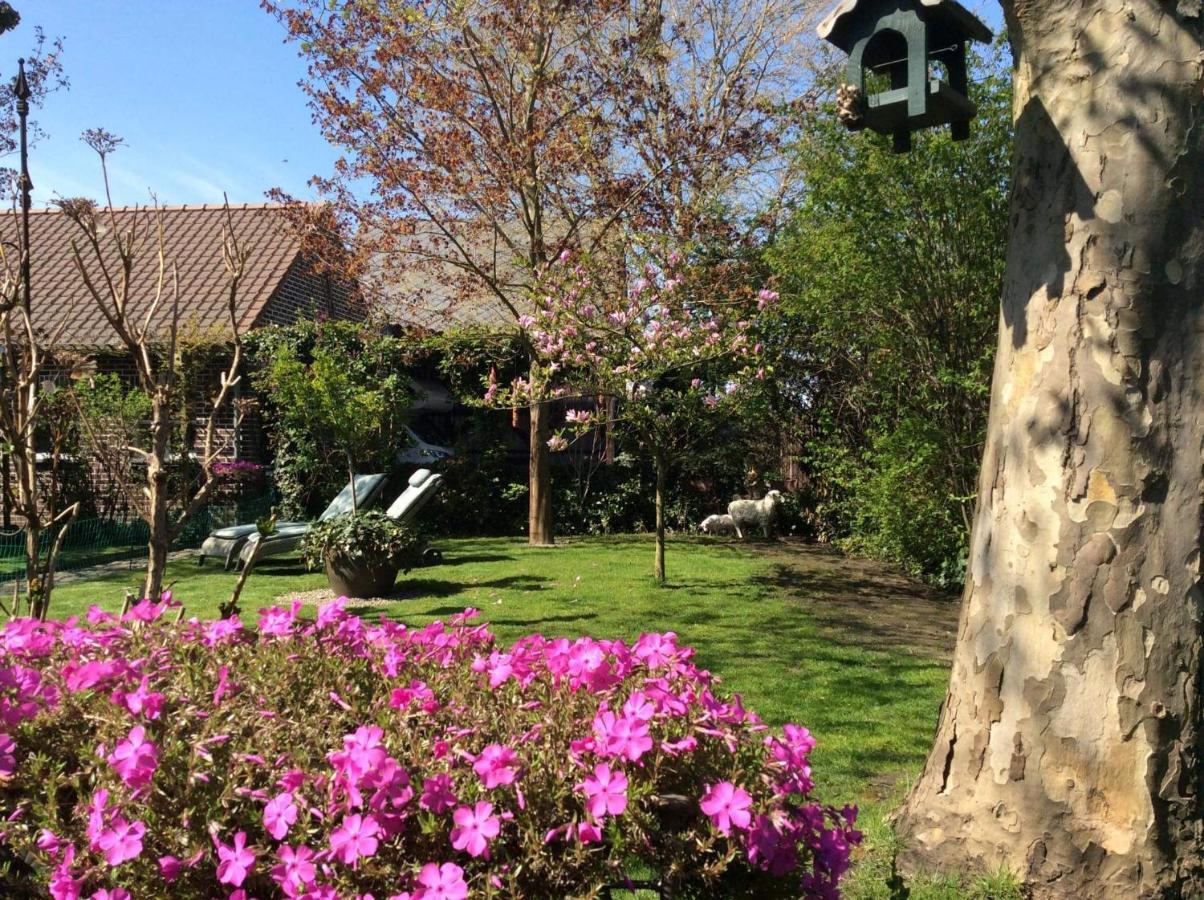 B&B Le Jardin NeerNeerpelt Εξωτερικό φωτογραφία